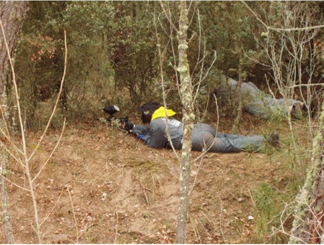  Camouflaging themselves lying down 